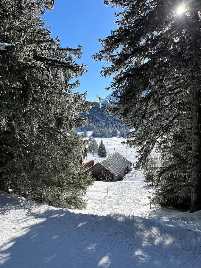 Chamrousse Appart 8 Personnes Au Pied Des Pistes 外观 照片