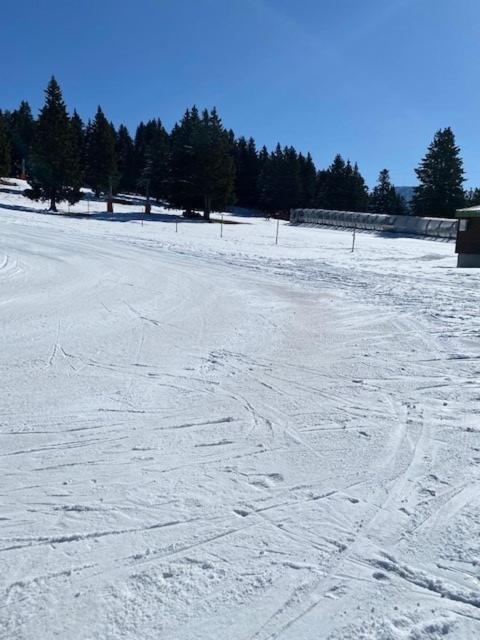 Chamrousse Appart 8 Personnes Au Pied Des Pistes 外观 照片