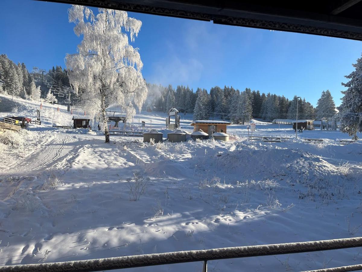 Chamrousse Appart 8 Personnes Au Pied Des Pistes 外观 照片